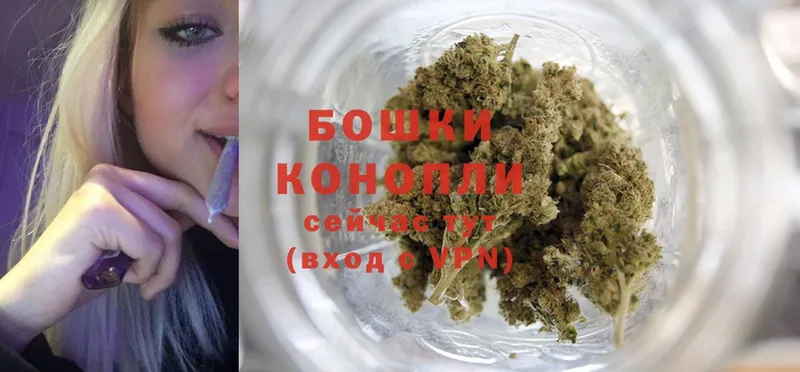 Конопля SATIVA & INDICA  сколько стоит  нарко площадка формула  Балтийск 